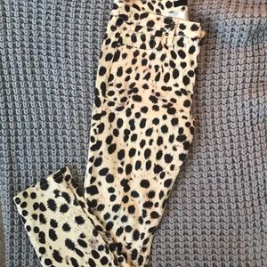 Joes leopard print size 29 pants
